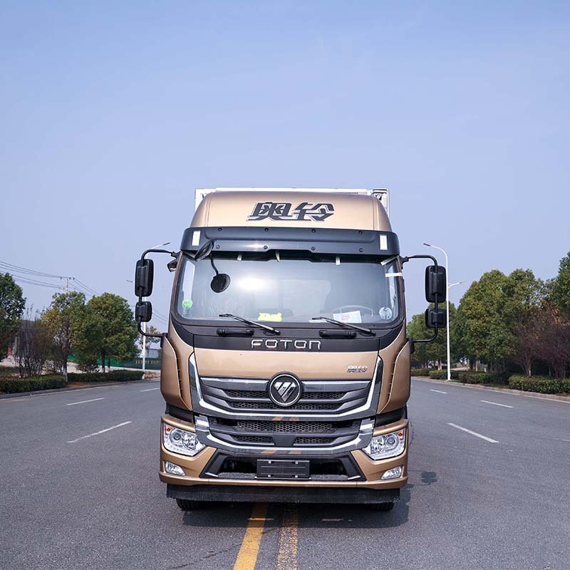Foton 4x2 10 ton light duty refrigerated truck for sale